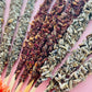 Incienso Premium con Flores Naturales Puras